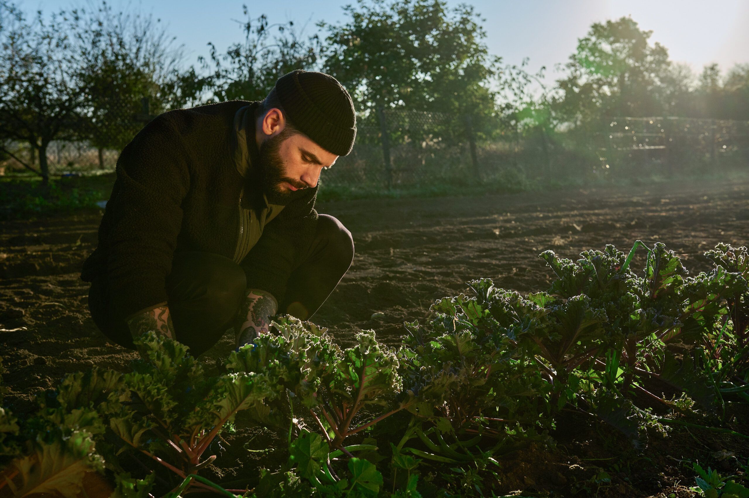 Cucina di Tommaso Tonioni — Arso